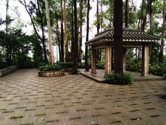 景点-南岗山公园