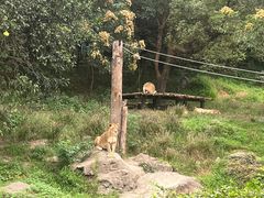 -宁波野生动物园