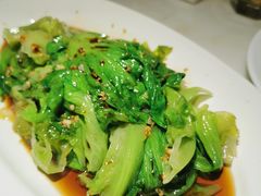 豉油生菜-佬肥猫(国华广场店)