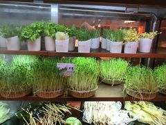 -串一火锅(赛格国际购物中心店)