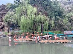 -宁波野生动物园
