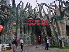 -帽儿山国家森林公园