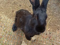 -南京金牛湖风景区