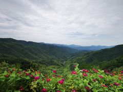 -四明山国家森林公园