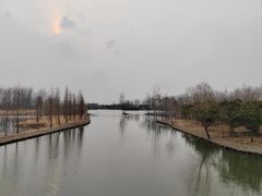 -溱湖国家湿地公园