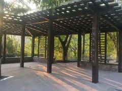 -重庆彩云湖湿地公园