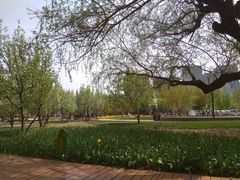 -长春公园(普阳街道)