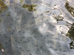 -三亚珠江南田温泉度假区