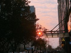 -狐尾山公园