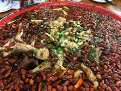 -东吴霸王兔(松青路店)