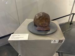 -北京周口店北京人遗址博物馆