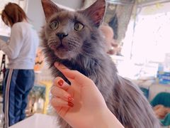 -平行世界·猫咖(首经贸店)