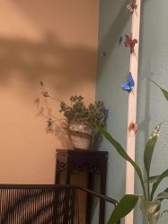 -香秀空间科技抗衰·美容中心