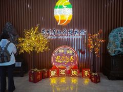 -贵州省地质博物馆