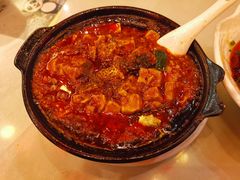 -陈麻婆豆腐总店