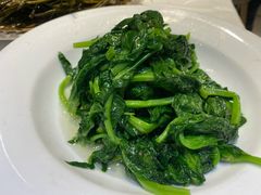 酒香豆苗-老吉士(环贸iapm店)