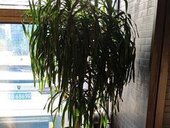 -田园北魏家宴·大同菜(御东店)