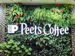 -Peet's 皮爷咖啡(陆家嘴中心店)