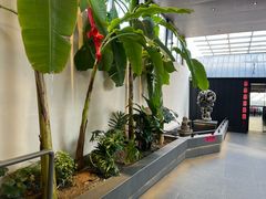 -单家老院·院子里的青岛菜(沙子口店)