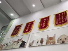 -爱侣宠医·鹦鹉专科·小型哺乳类·异宠专科(灵石路店)