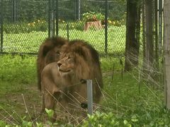 -秦皇岛野生动物园