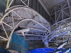 -烟台海昌鲸鲨海洋公园