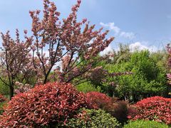 -贵阳市花溪国家城市湿地公园