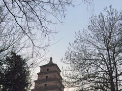 -大慈恩寺(大雁塔)