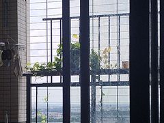 -太手撕鸡