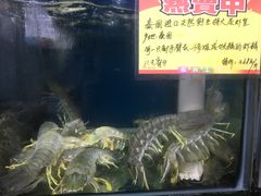 -蚝专家(北滘店)