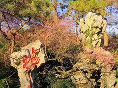 -杭州植物园