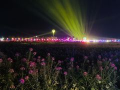 -枫林花海