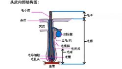 -LJOY丽锦造型·烫发染发