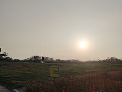 -苏州海洋馆