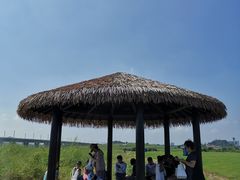 -光明小镇欢乐田园