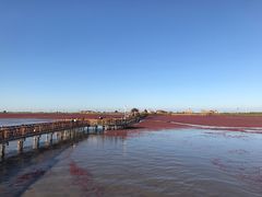 -红海滩国家风景廊道
