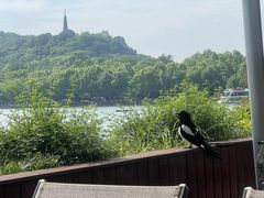 -湖畔居茶楼(湖滨店)