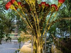 -春暖花开(西溪店)