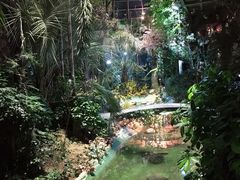 -大塘金香草谷