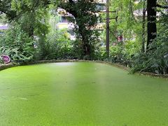 -成都市活水公园