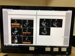 -安安宠医·安宠宠物医院