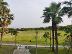 -深圳湾公园(南山区)
