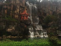 -金鸡山公园