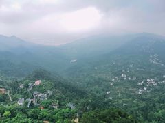 -大金鹰园