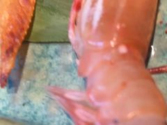 -樱之盛宴·蟹料理海鲜自助(前进大街店)