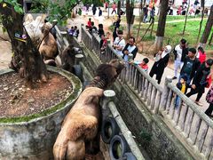 -昆明动物园