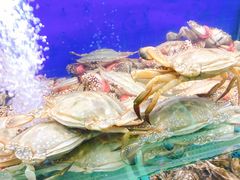 -船梆煮•蒸汽海鲜·炉火烤肉(五四广场店)