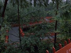 -老木头音乐空间(月河街店)