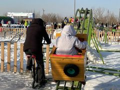 -绿野森林乐园冰雪季