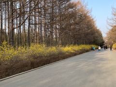 -长春市南湖公园